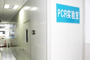 PCR實(shí)驗(yàn)室設(shè)計(jì)規(guī)劃，從0開始