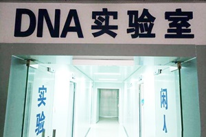 【正海新知】基層公安機關DNA實驗室建設