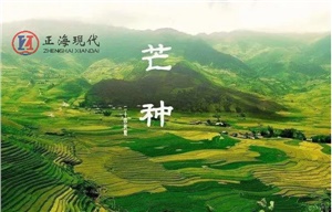 【節(jié)氣】今日芒種 ，一個(gè)生猛的節(jié)氣到了！保重身體別生病！