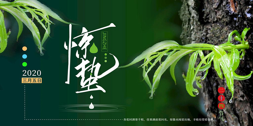 【節(jié)氣】今日驚蟄，我們定將戰(zhàn)勝疫情，走向春天